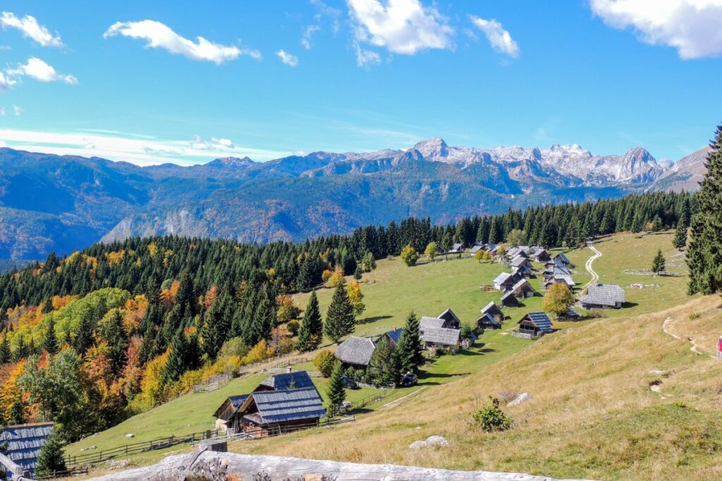 Pokljuka - Zajamniki with Triglav