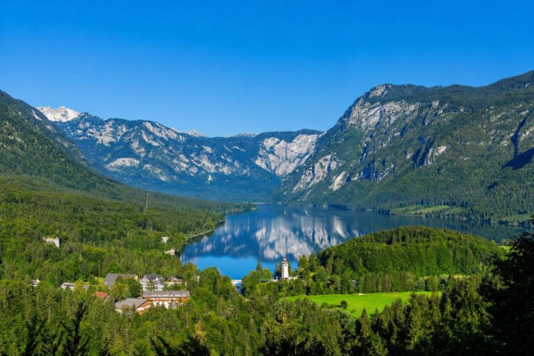Bohinj Aerial view of Lake Bohinj surrounded by forested mountains.
