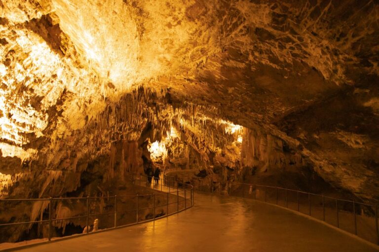 Illuminated stalactites inside Postojna Cave.