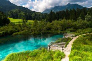 Aerial view of the green spring pools at Zelenci Nature Reserve.